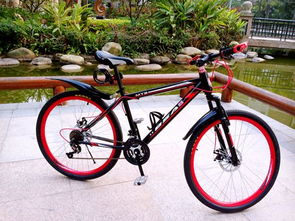 自行車尺寸解讀 XS、S、M、L 的意義及其在電動(dòng)自行車制造中的應(yīng)用